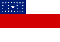 Bandeira Amazonas