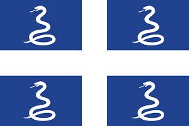 Bandeira Martinica (França)