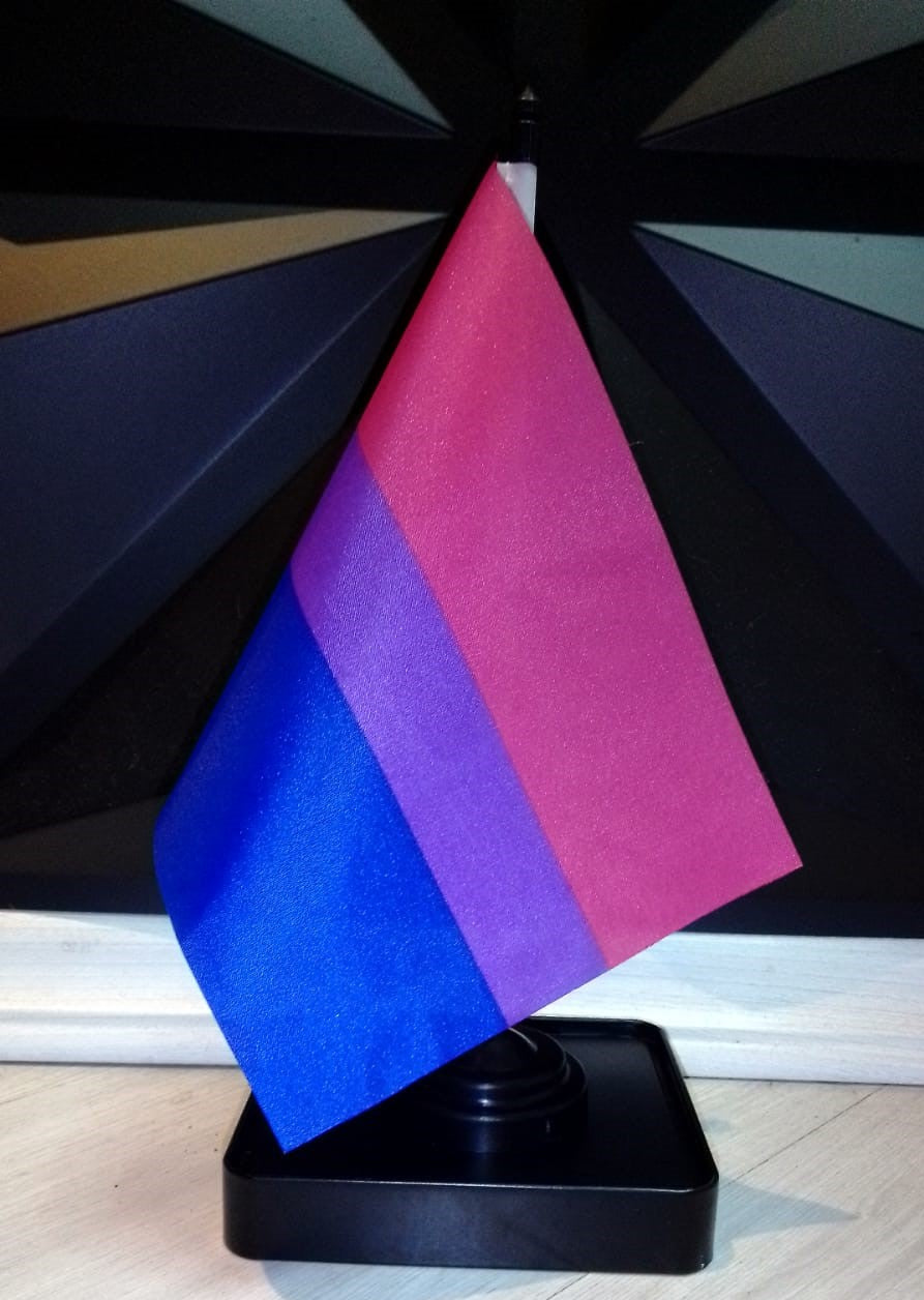 Bandeira de Mesa LGBTQIAPN+ (11 modelos disponíveis - UNIDADE)